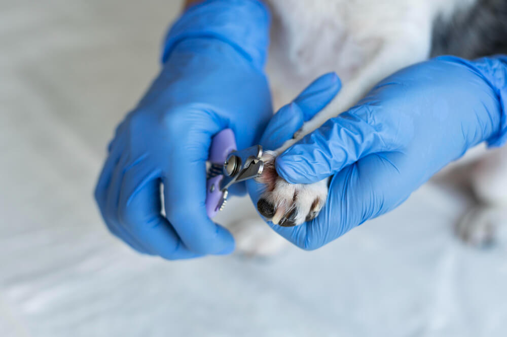 Przystępujemy do leczenia